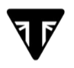  Triumph   branding logo